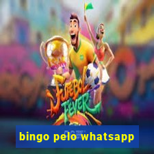 bingo pelo whatsapp